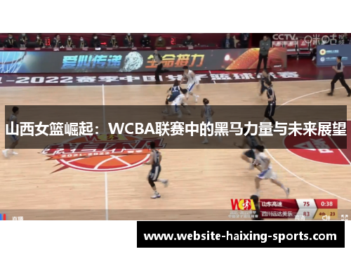 山西女篮崛起：WCBA联赛中的黑马力量与未来展望